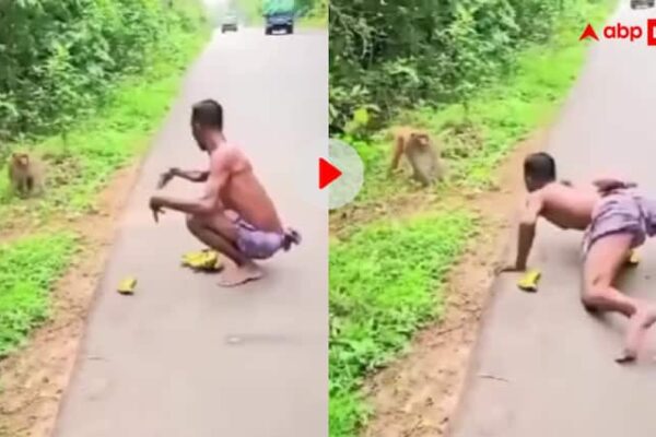 बंदर भी सोच रहा होगा कि कहां फंस गया, वीडियो देख यूजर्स बोले- आखिरकार मिल ही गया मोगली